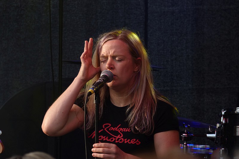 altstadtfest100517.jpg