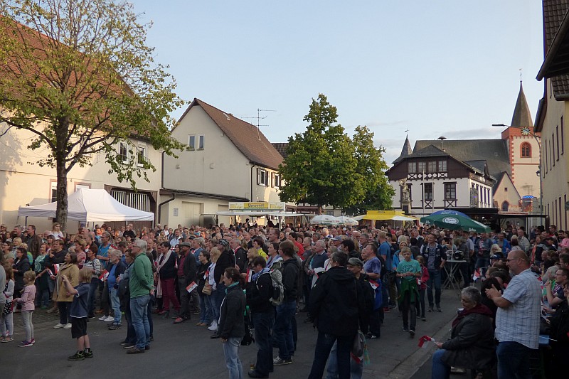 altstadtfest110517.jpg