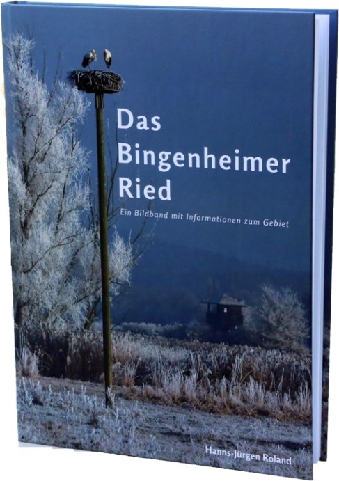 bingenheimerried0118.jpg