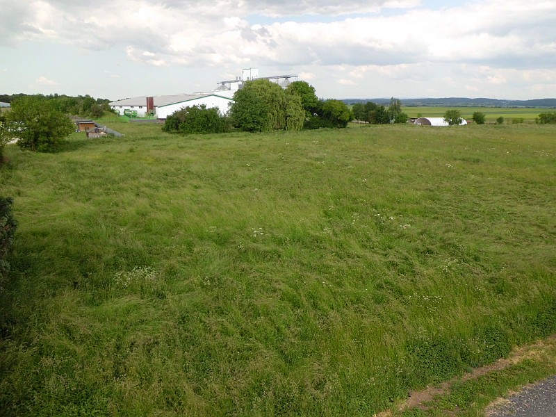 stadt021518.jpg