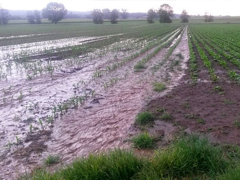 unwetter050118.jpg
