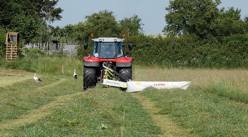 landwirtschaft050320.jpg