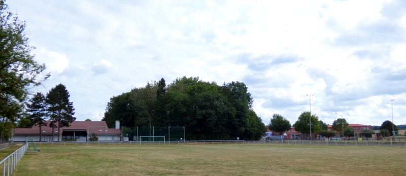 waeldchen0120.jpg