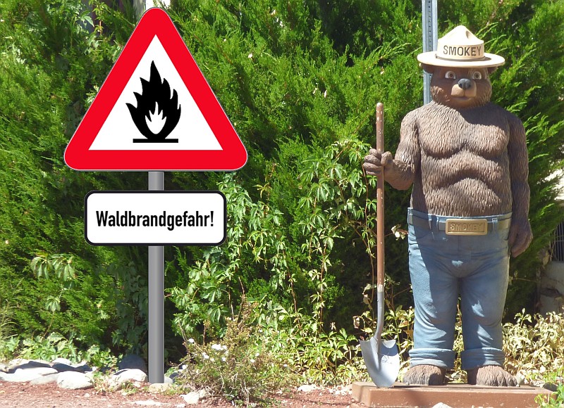 waldbrand0120.jpg
