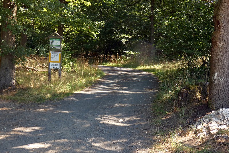 waldbrand030120.jpg