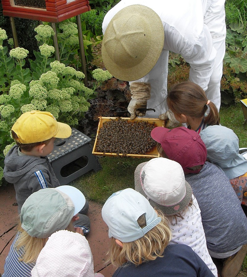 montessori0321.jpg