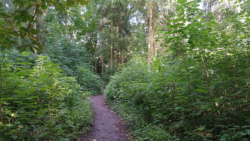 waeldchen020121.jpg