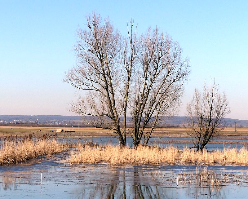 waeldchen0322.jpg