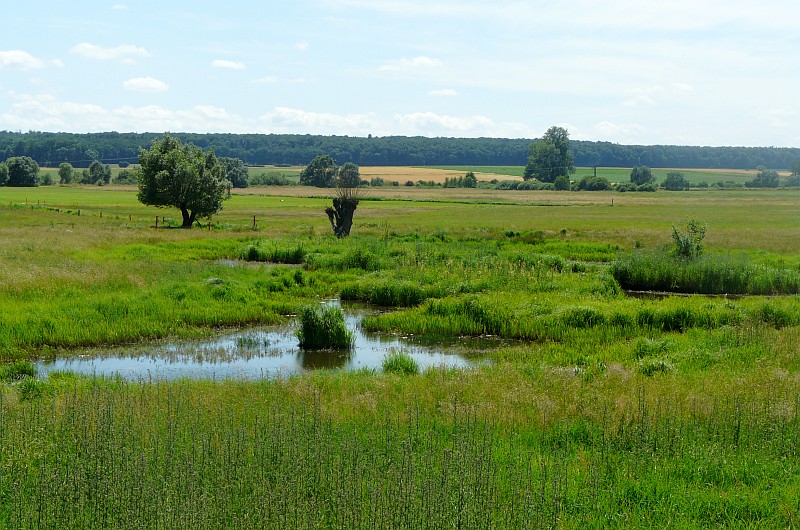 wetteraukreis1722.jpg